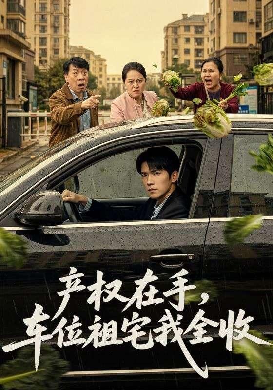 产权在手，车位祖宅我全收