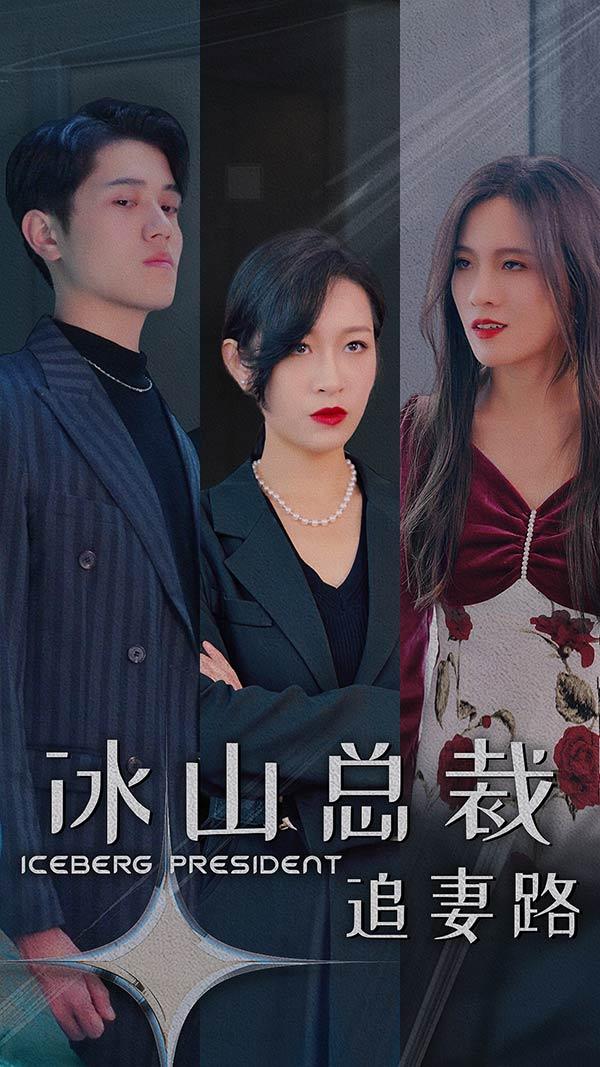 冰山总裁追妻路