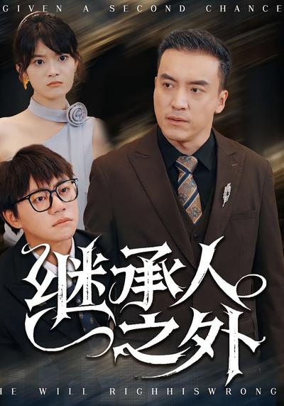 继承人之外封面图