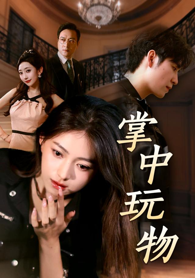 掌中玩物封面图