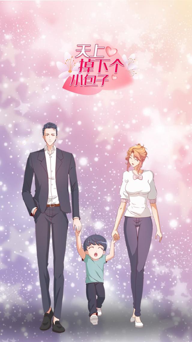 天上掉下个小包子封面图