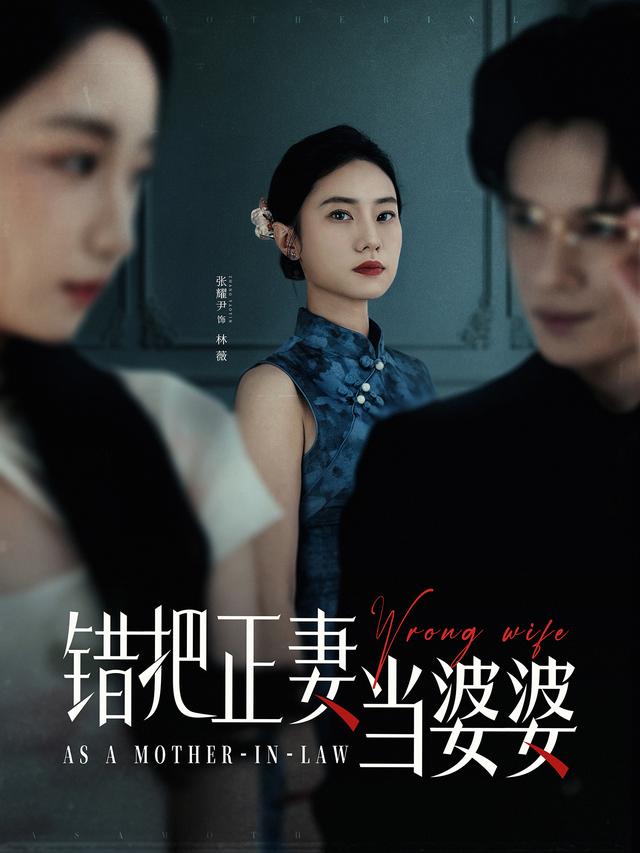 错把正妻当婆婆封面图