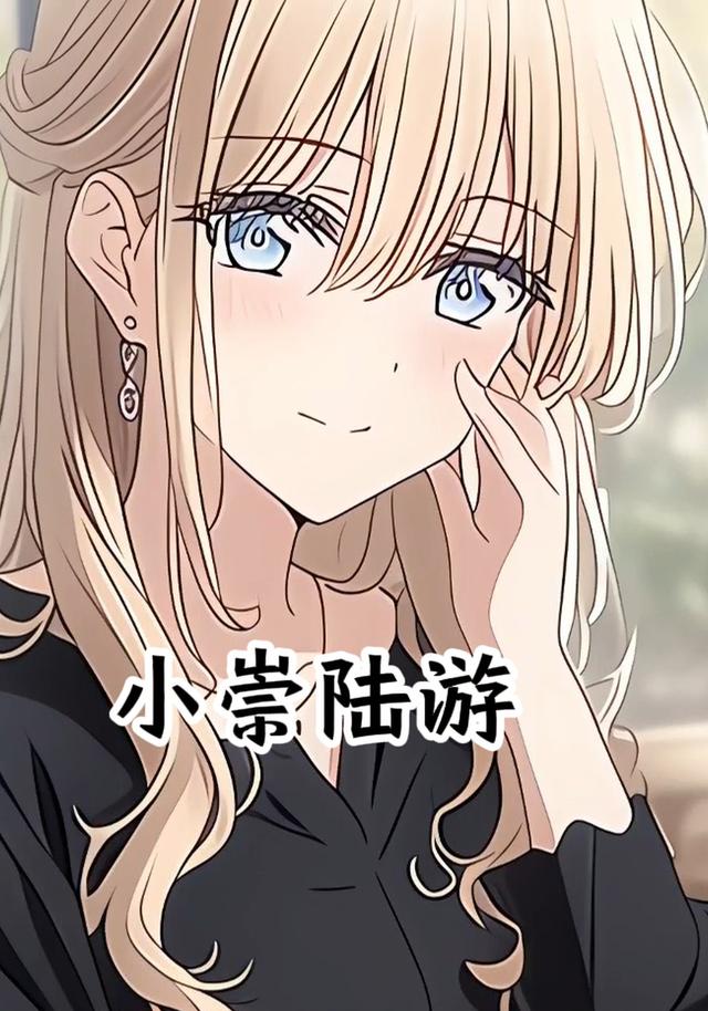 小崇陆游封面图