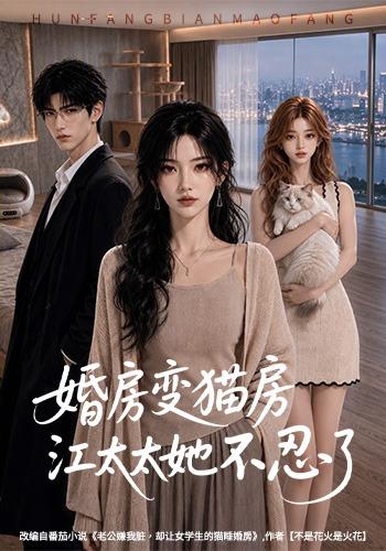 婚房变猫房江太太她不忍了