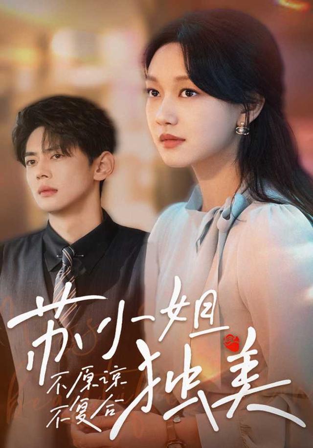 不原谅不复合苏小姐独美封面图