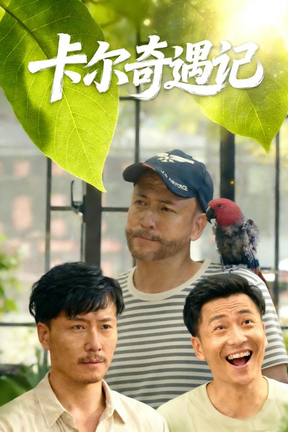 卡尔奇遇记