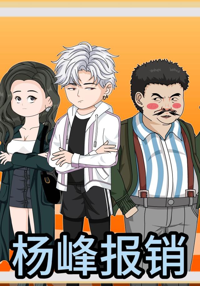 杨峰报销封面图