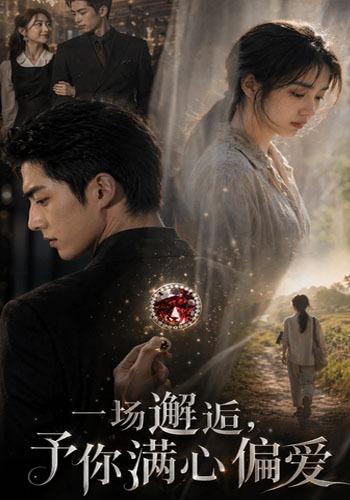 一场邂逅，予你满心偏爱 cover