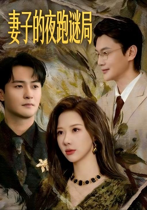 妻子的夜跑谜局封面图