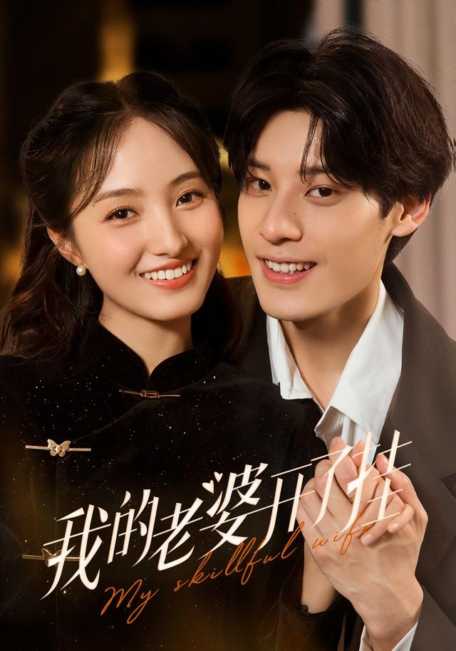 我的老婆开了挂封面图