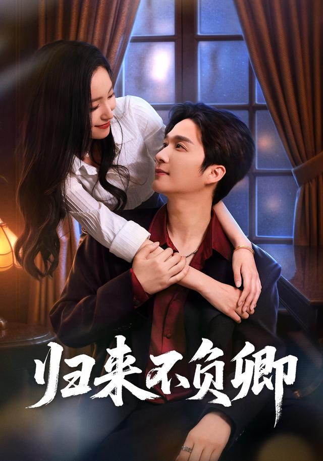 归来不负卿封面图