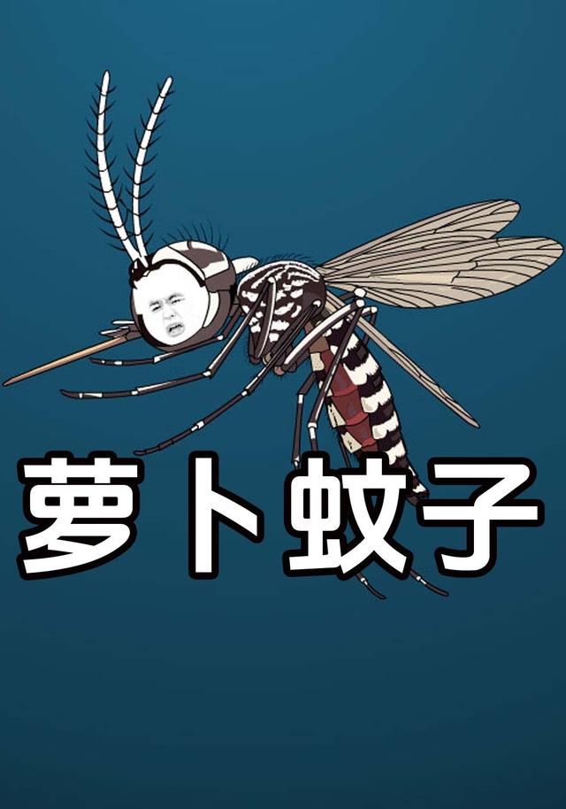 萝卜蚊子封面图