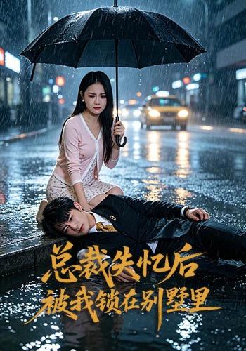 总裁失忆后被我锁在别墅里