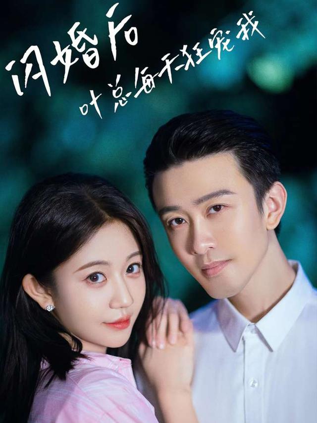 闪婚后叶总每天狂宠我