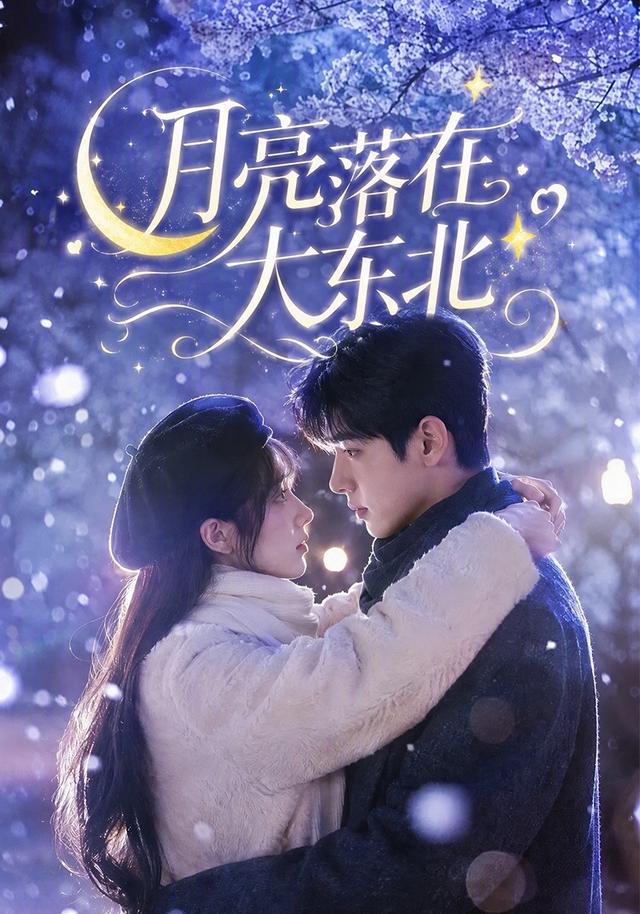 月亮落在大东北 cover