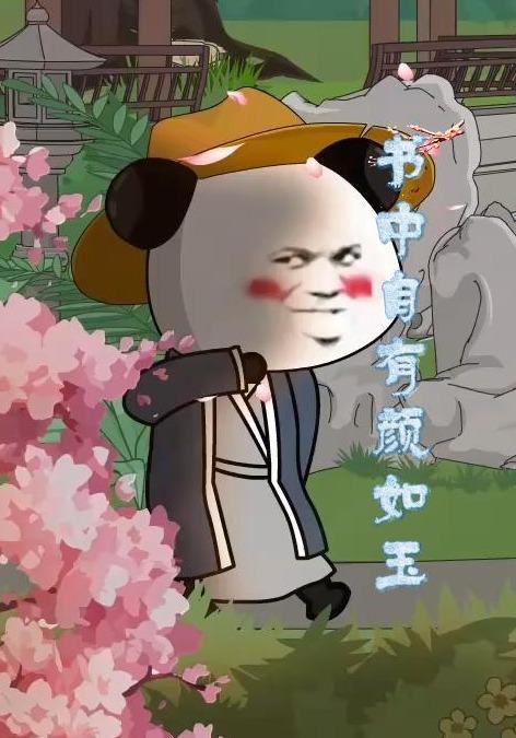 书中自有颜如玉
