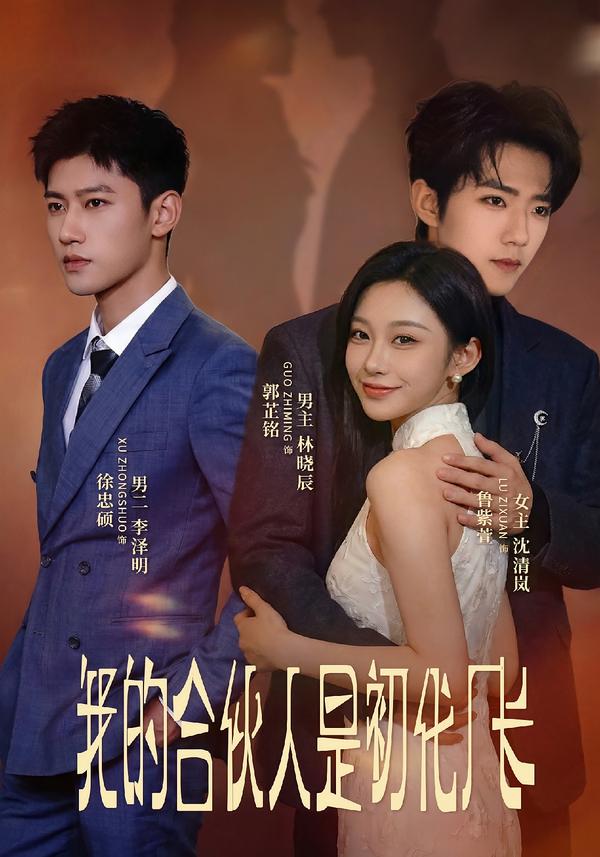 我的合伙人是初代厂长