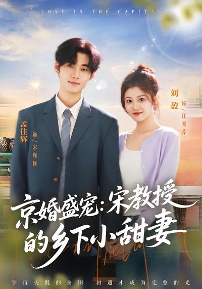 京婚盛宠：宋教授的乡下小甜妻封面图