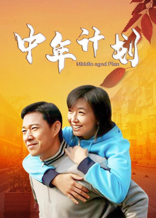 中年计划封面图