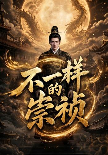 不一样的崇祯 cover