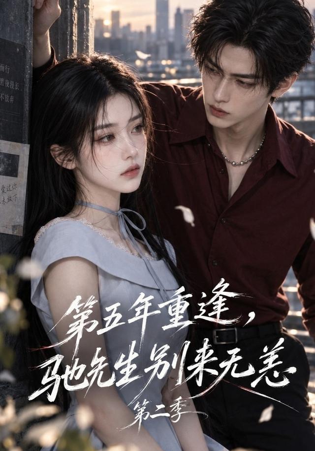 第五年重逢，驰先生别来无恙第二季