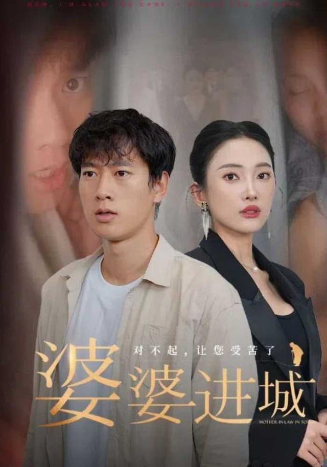 婆婆进城封面图