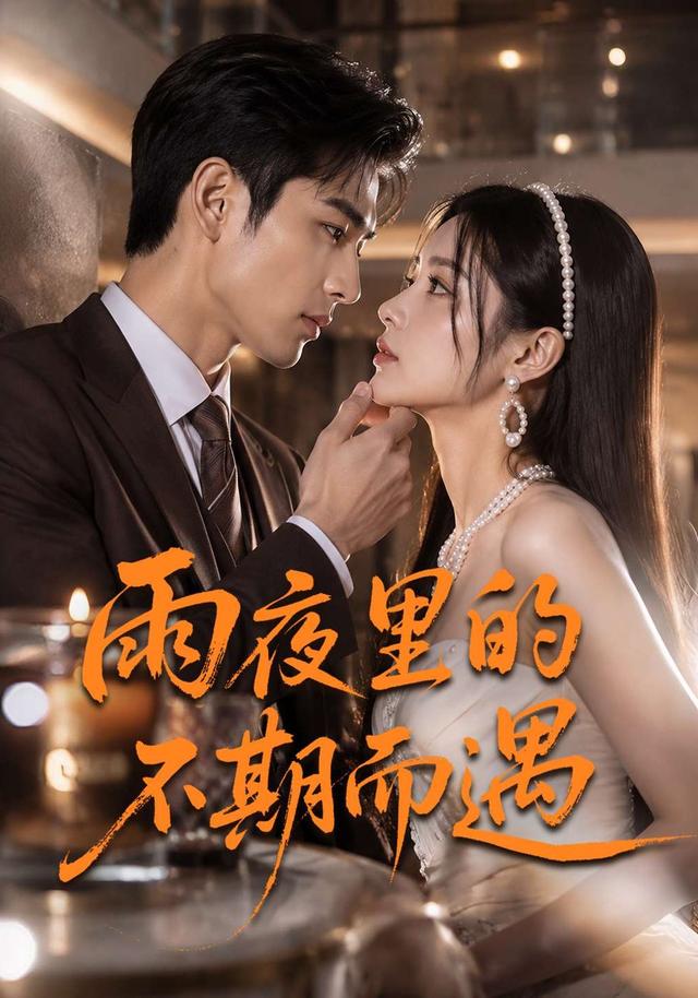 雨夜里的不期而遇 cover
