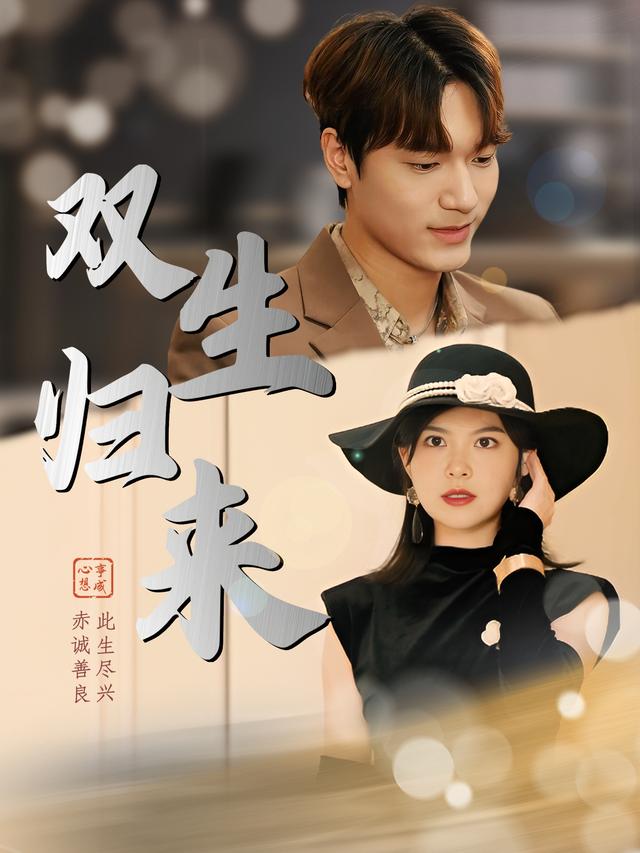 双生归来封面图