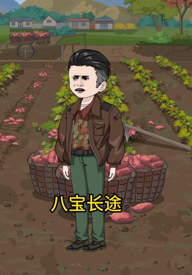 八宝长途封面图