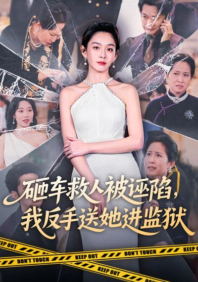 砸车救人被诬陷，我反手送她进监狱封面图