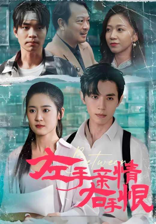 左手亲情右手恨封面图