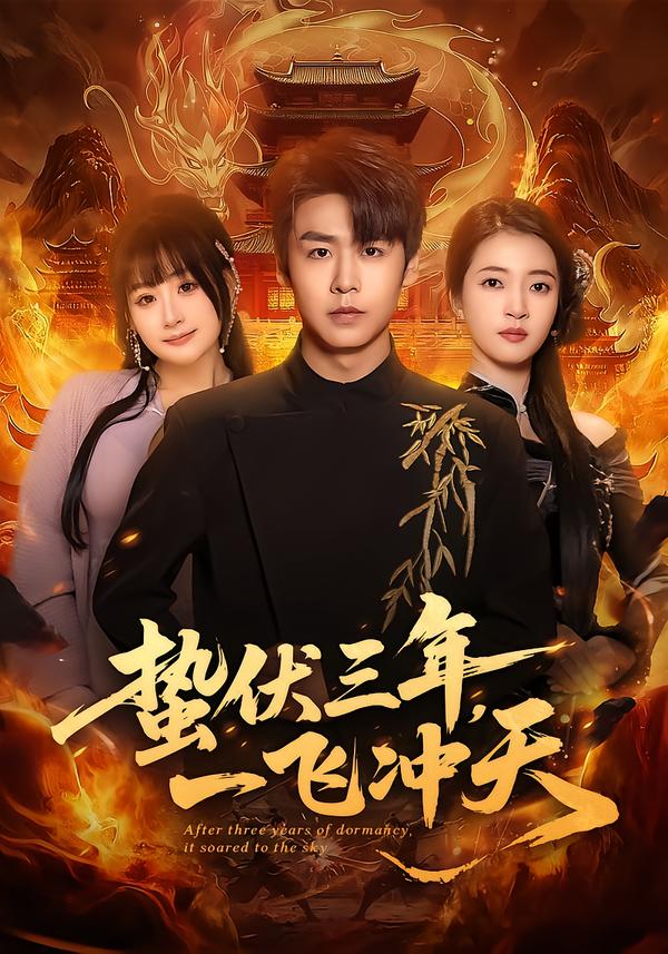 蛰伏三年，一飞冲天