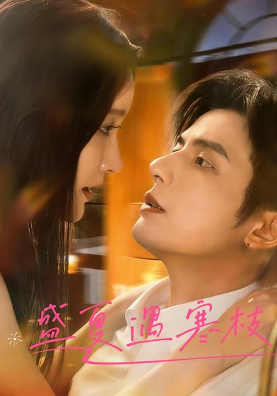盛夏遇寒枝封面图