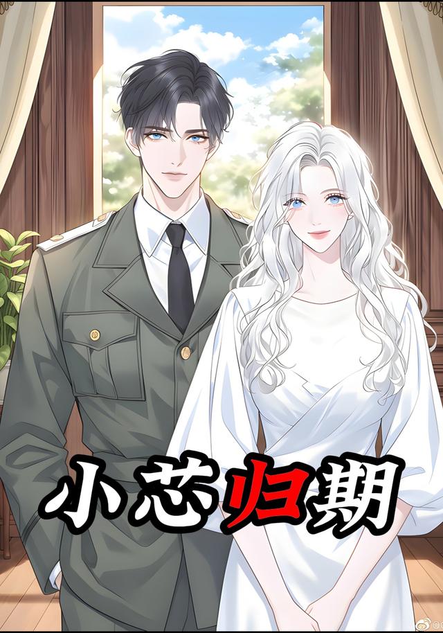 小芯归期封面图