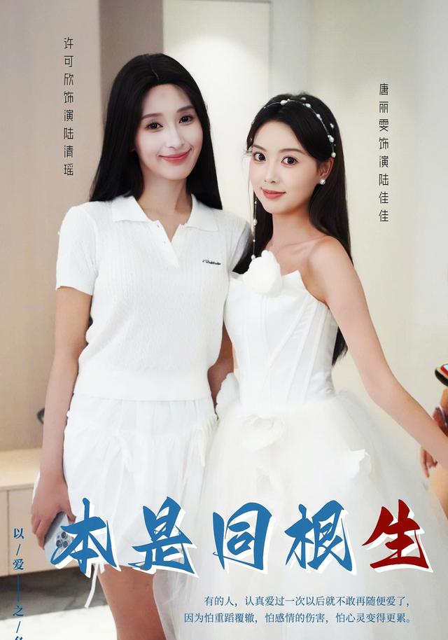 本是同根生封面图