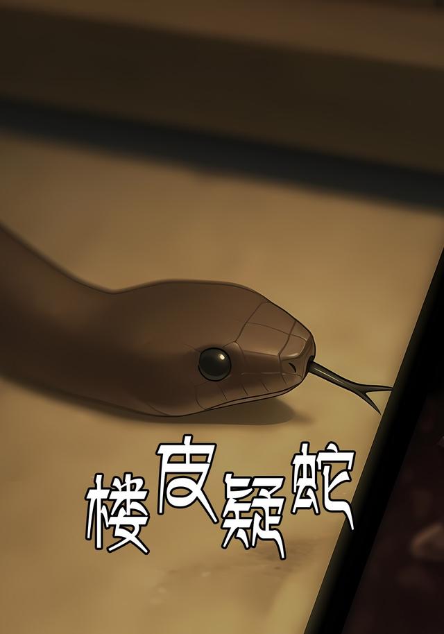 楼皮疑蛇封面图