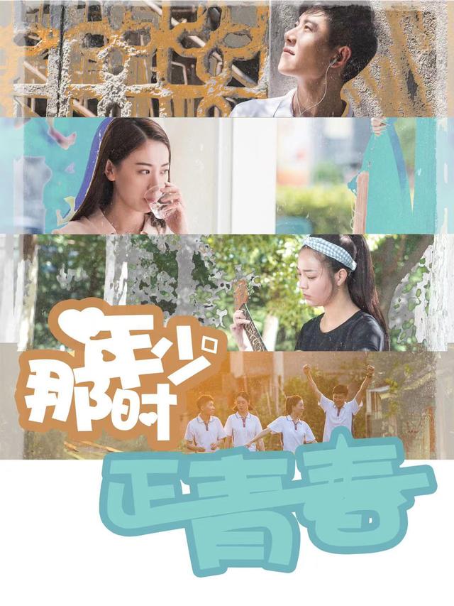 那时年少正青春封面图