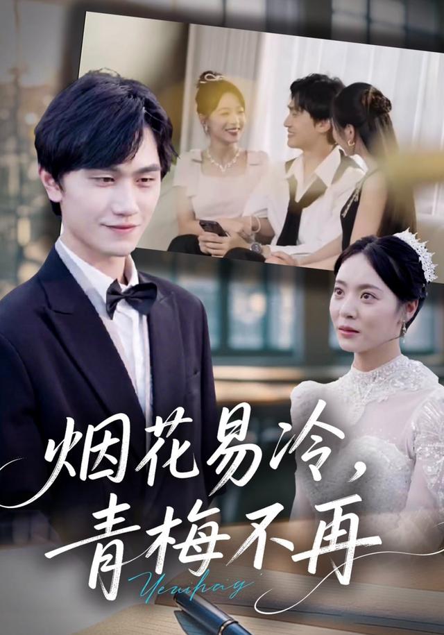 烟花易冷，青梅不再封面图
