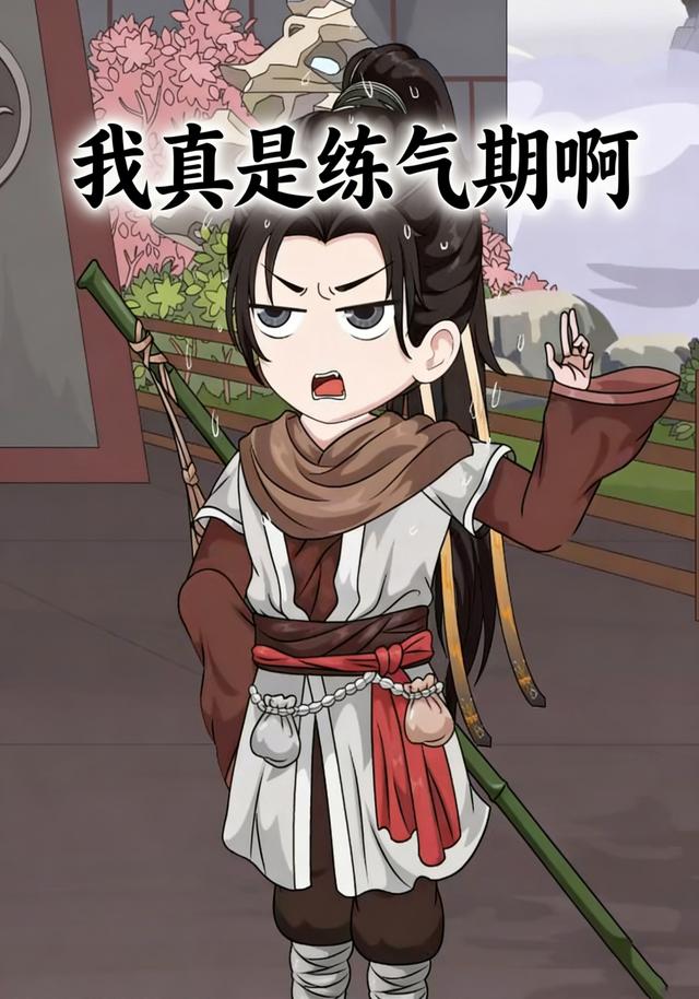 我真是练气期啊封面图