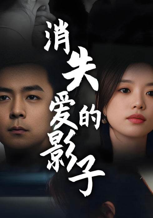 消失爱的影子封面图