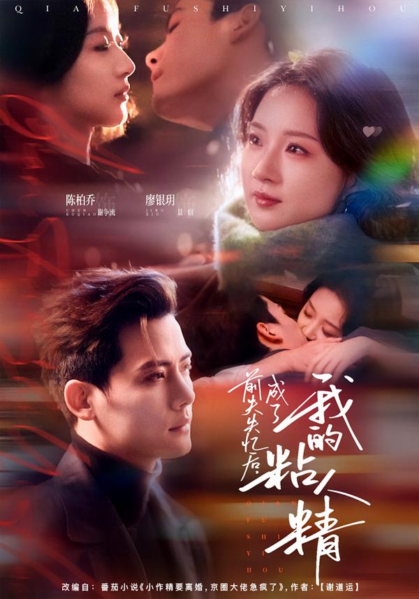 前夫失忆后，成了我的粘人精