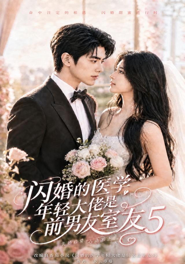 闪婚的医学年轻大佬是前男友室友5 cover