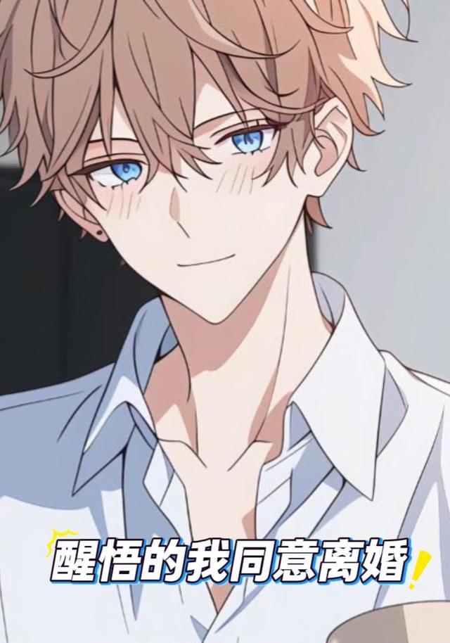 醒悟的我同意离婚封面图
