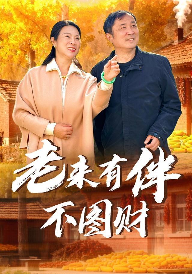 老来有伴不图财封面图