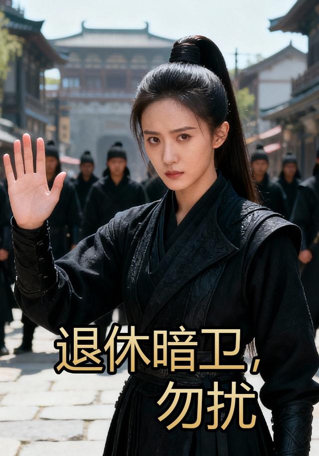 退休暗卫，勿扰封面图