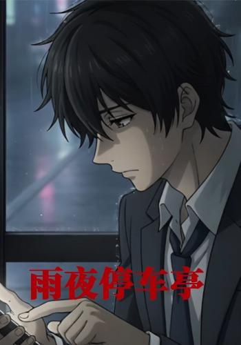 雨夜停车亭封面图