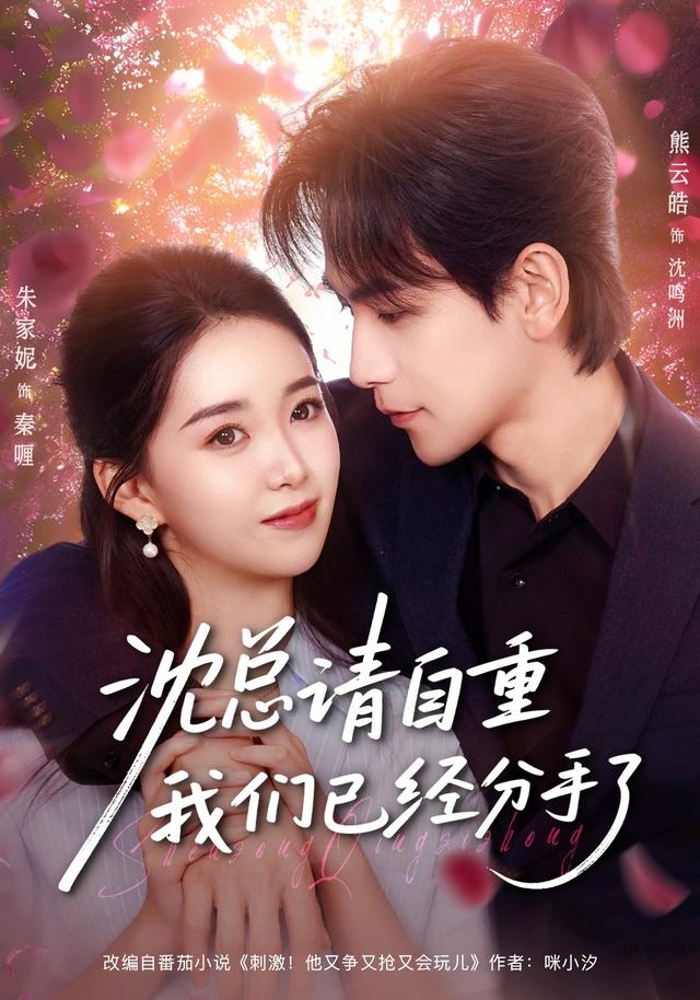 沈总请自重我们已经分手了封面图