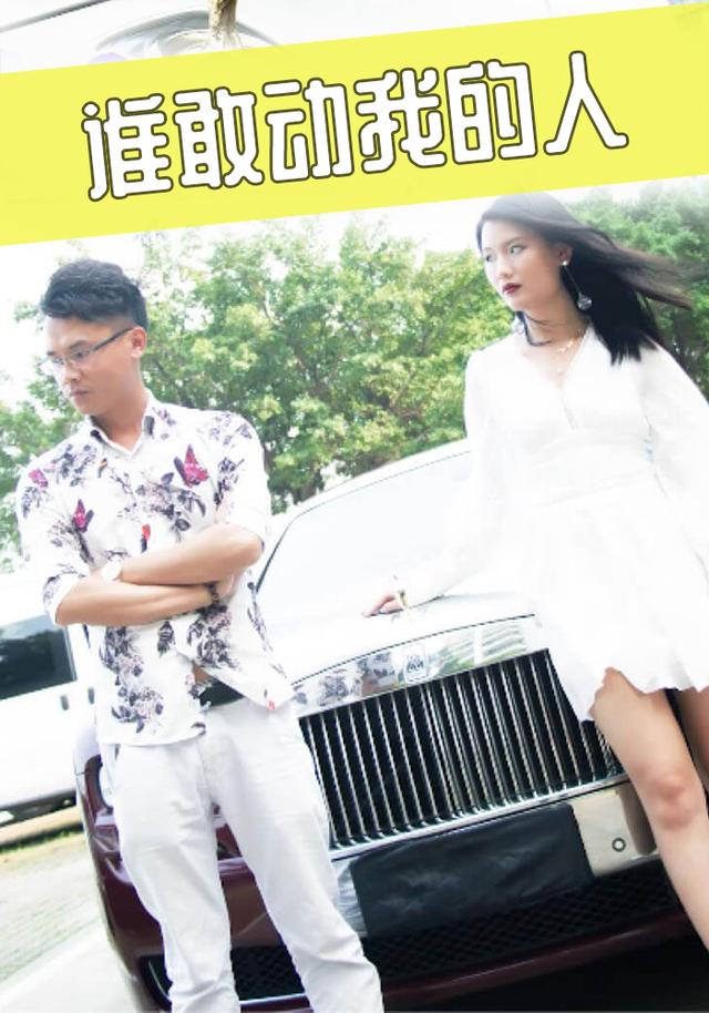 谁敢动我的人封面图