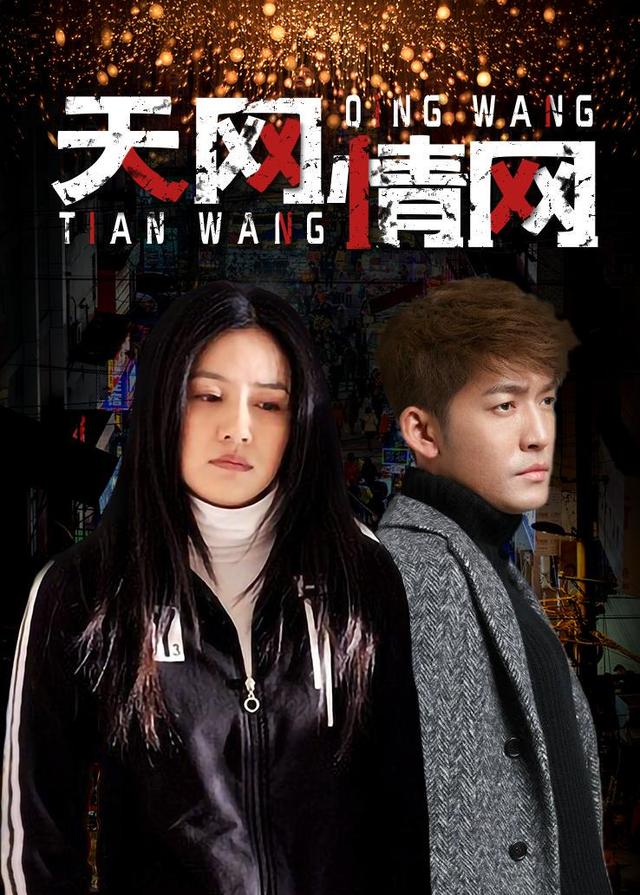 天网情网封面图