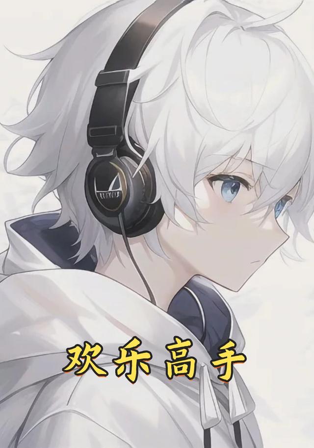 欢乐高手封面图